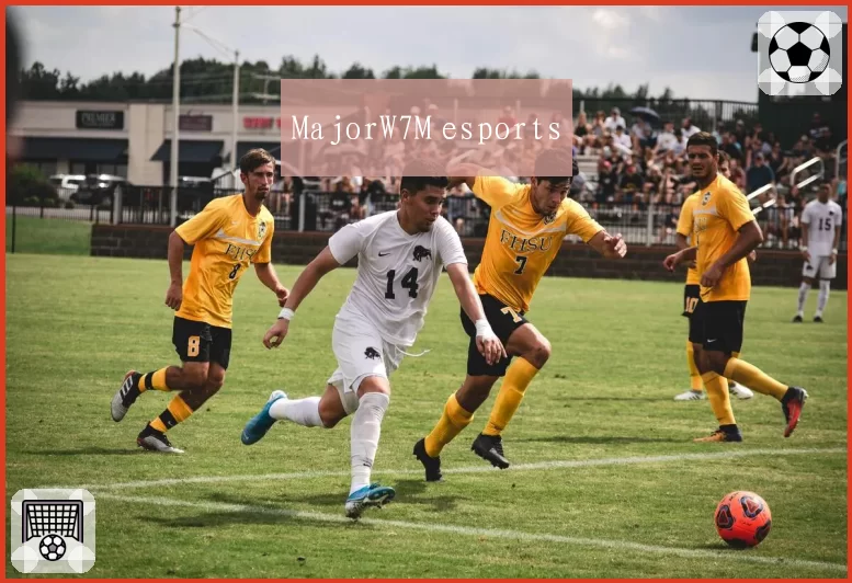 MajorW7M esports