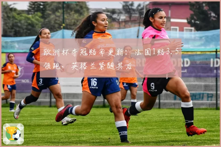 欧洲杯夺冠赔率更新：法国1赔3.5领跑，英格兰紧随其后