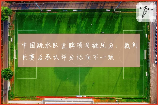 中国跳水队金牌项目被压分，裁判长赛后承认评分标准不一致